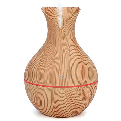 Cool Mist Humidifier and Aromatherapy Diffuser