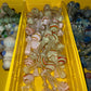 Glass Bowls