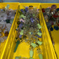 Glass Chillums