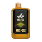 Mr. Fog NOVA