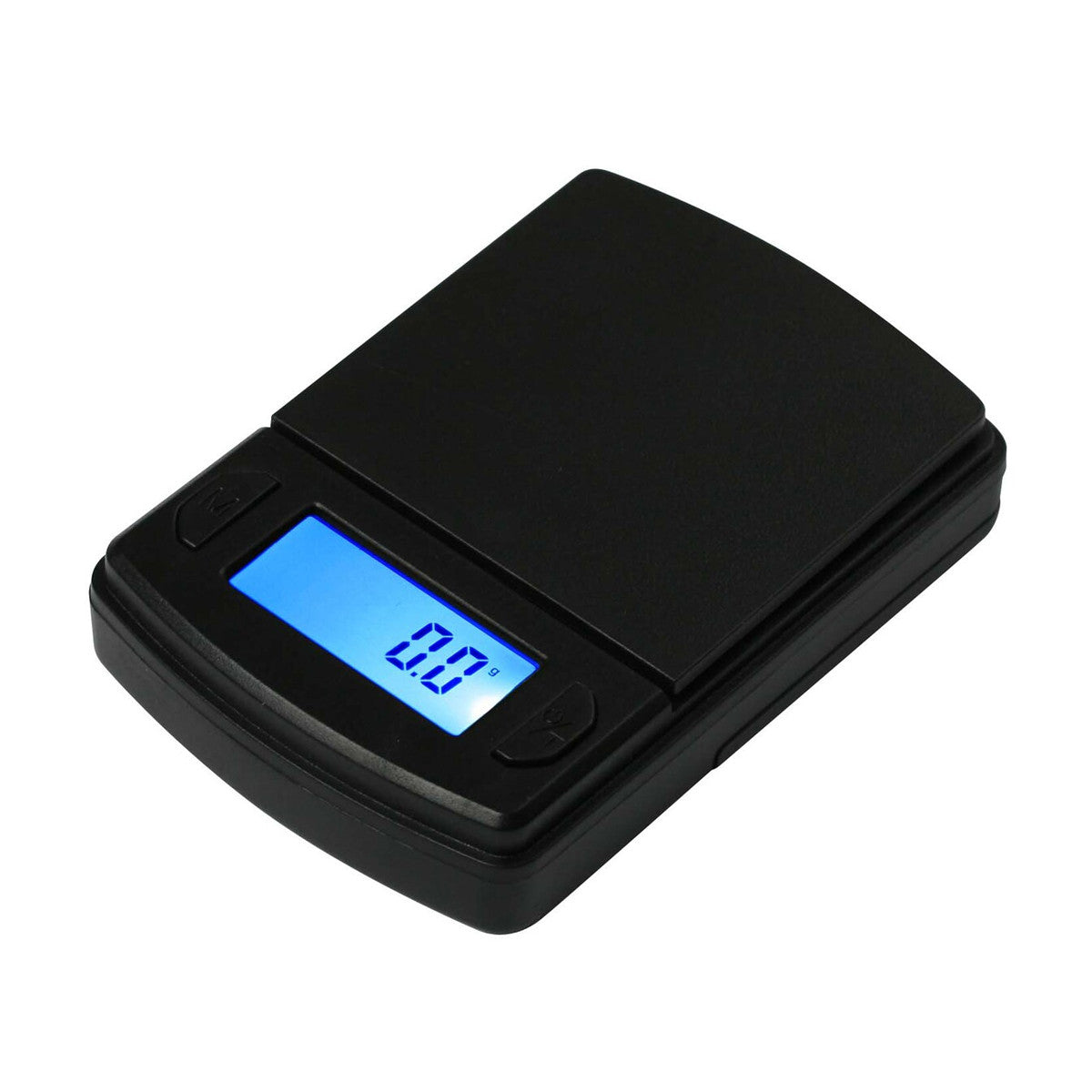 Fast Weigh (FW) Scales
